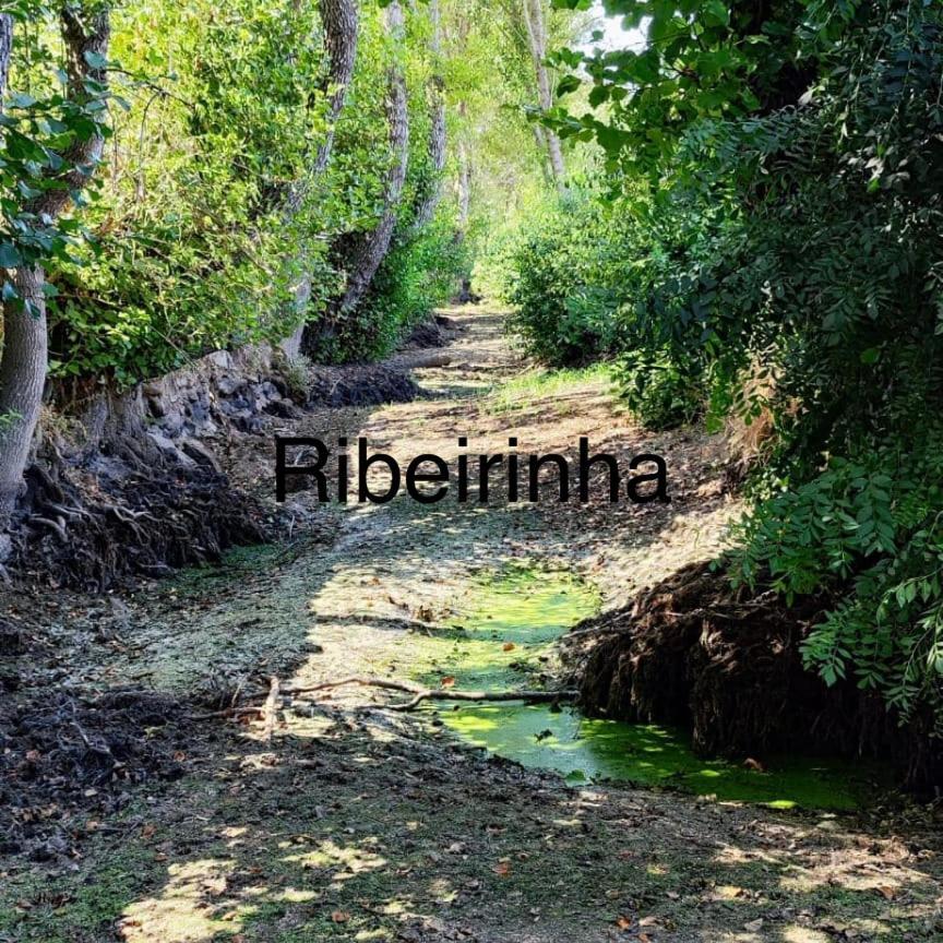 Arca Dos Animais - Farming & Casa de Campo *