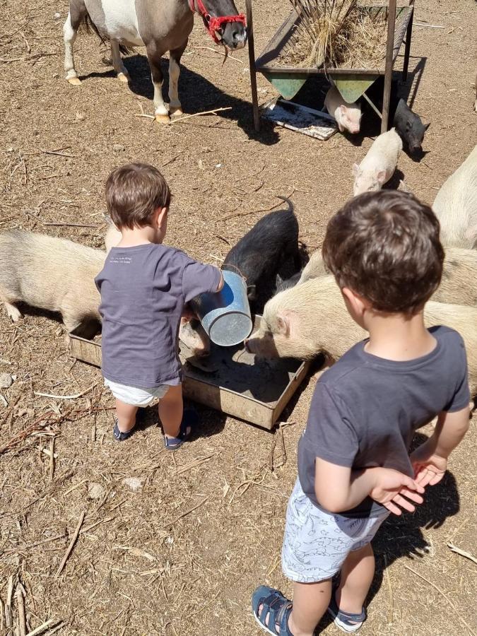 Arca Dos Animais - Farming & Casa de Campo *
